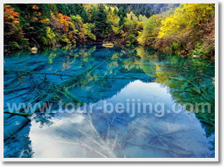 5 Day Chengdu Jiuzhaigou Huanglong Tour 